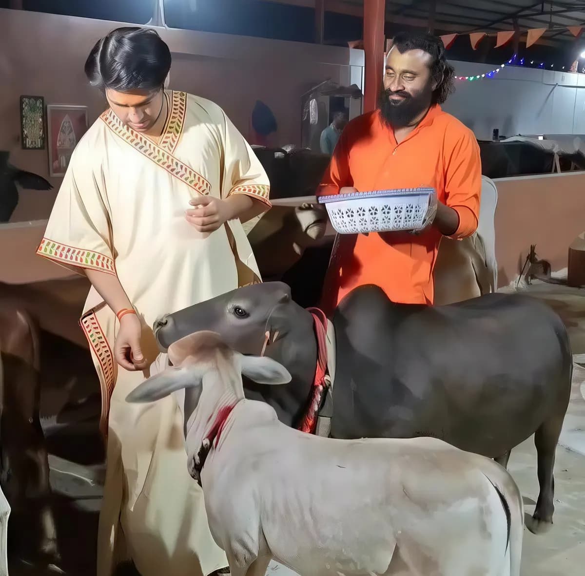 Gau Raksha