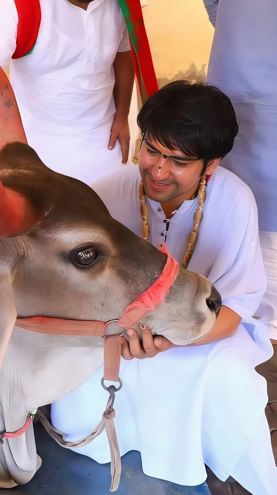 Gau seva moment 2