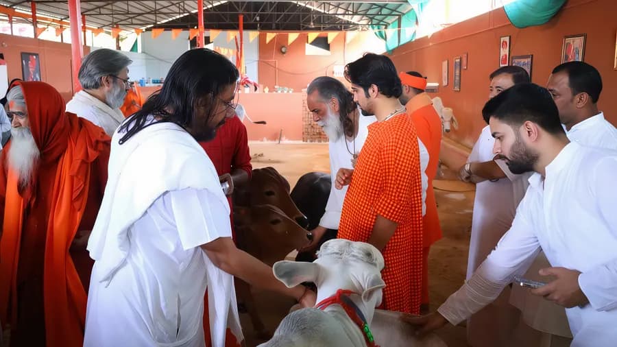 Gau seva moment 5