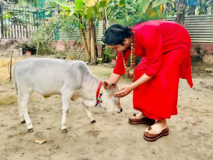 Gau seva moment 6